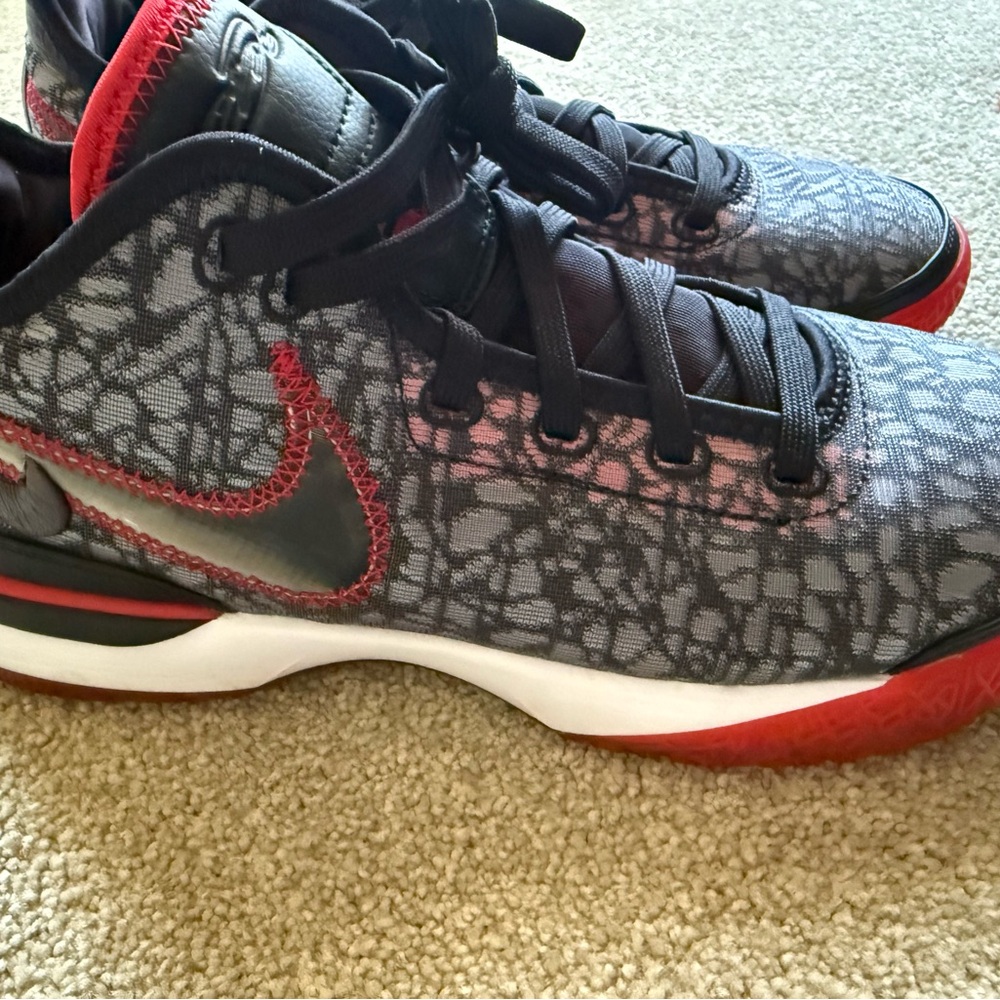 Nike Zoom LeBron NXXT Gen